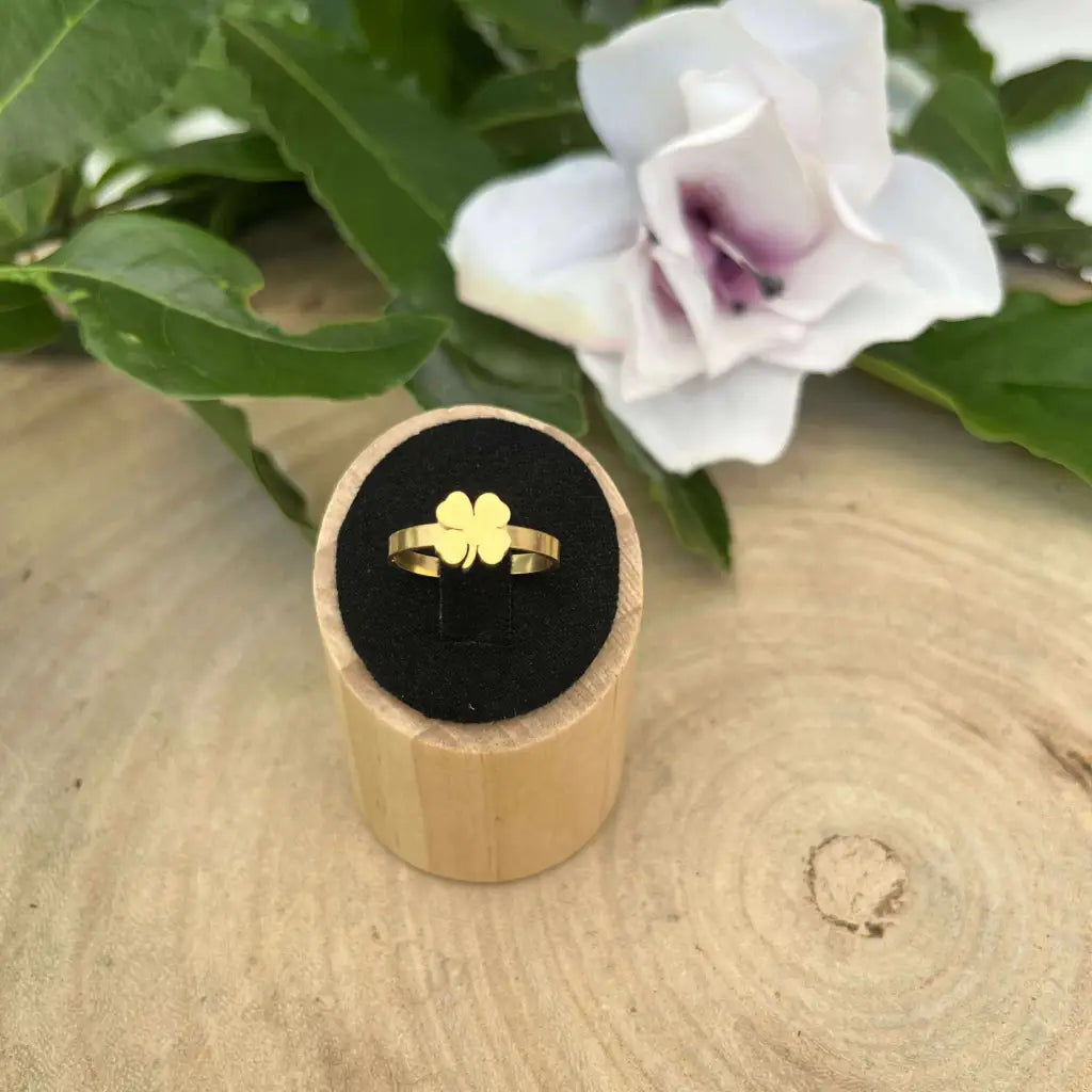 Bague Porte Bonheur Dorée – Ajustable en Acier Inoxydable