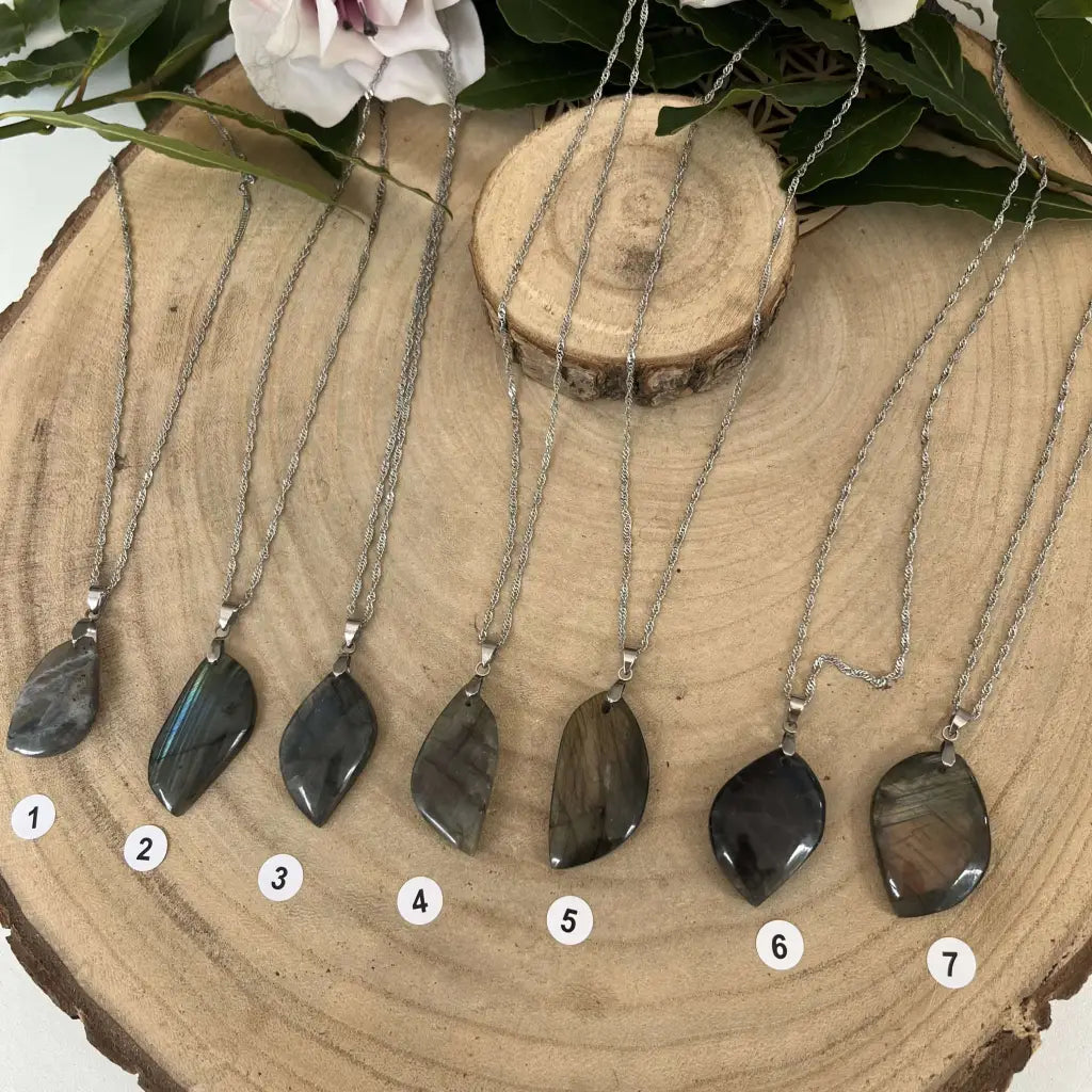 Collier Pendentif Labradorite Naturelle - Argent / N°1