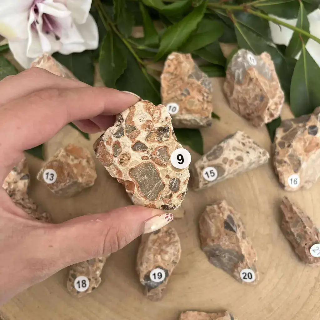 Pierre brute Jaspe Léopard Brut, parfaite pour la décoration ou la collection de minéraux