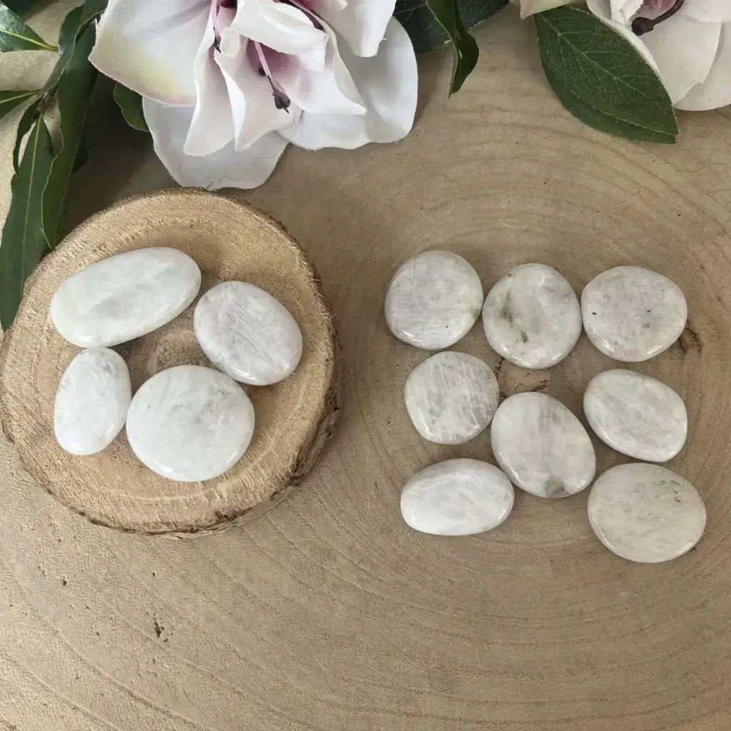 Mini Galet plat Pierre de Lune Bleutée Aura de Roche lot de galets plats nacrés blancs sur tranche de bois