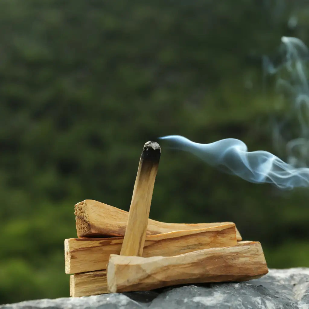 Bâtons de Palo Santo Bois Sacrée avec de la fumée pour purification et bien-être