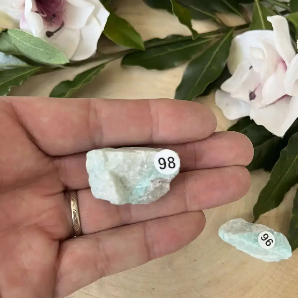 Pierre brute Amazonite Brésil présentée dans une main avec un fond de feuillage et de fleurs