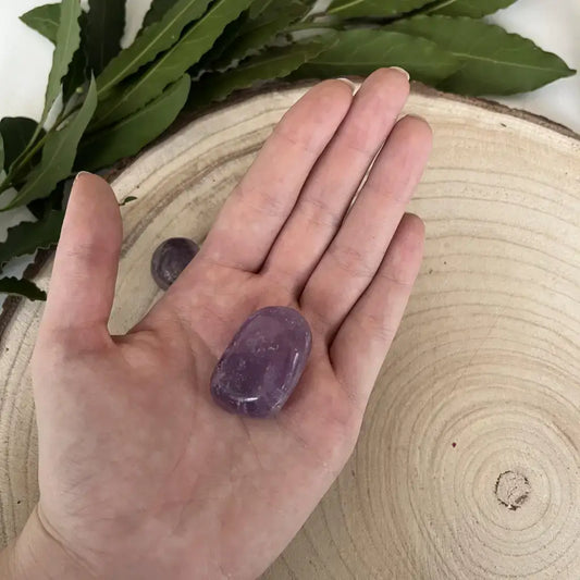 Pierre Roulée Améthyste tenue dans la main sur tranche de bois avec feuilles vertes Aura de Roche
