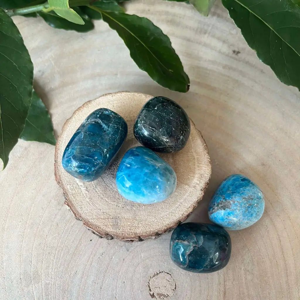 Pierre Roulée Apatite Bleue - 30/40 mm - Pierre roulée