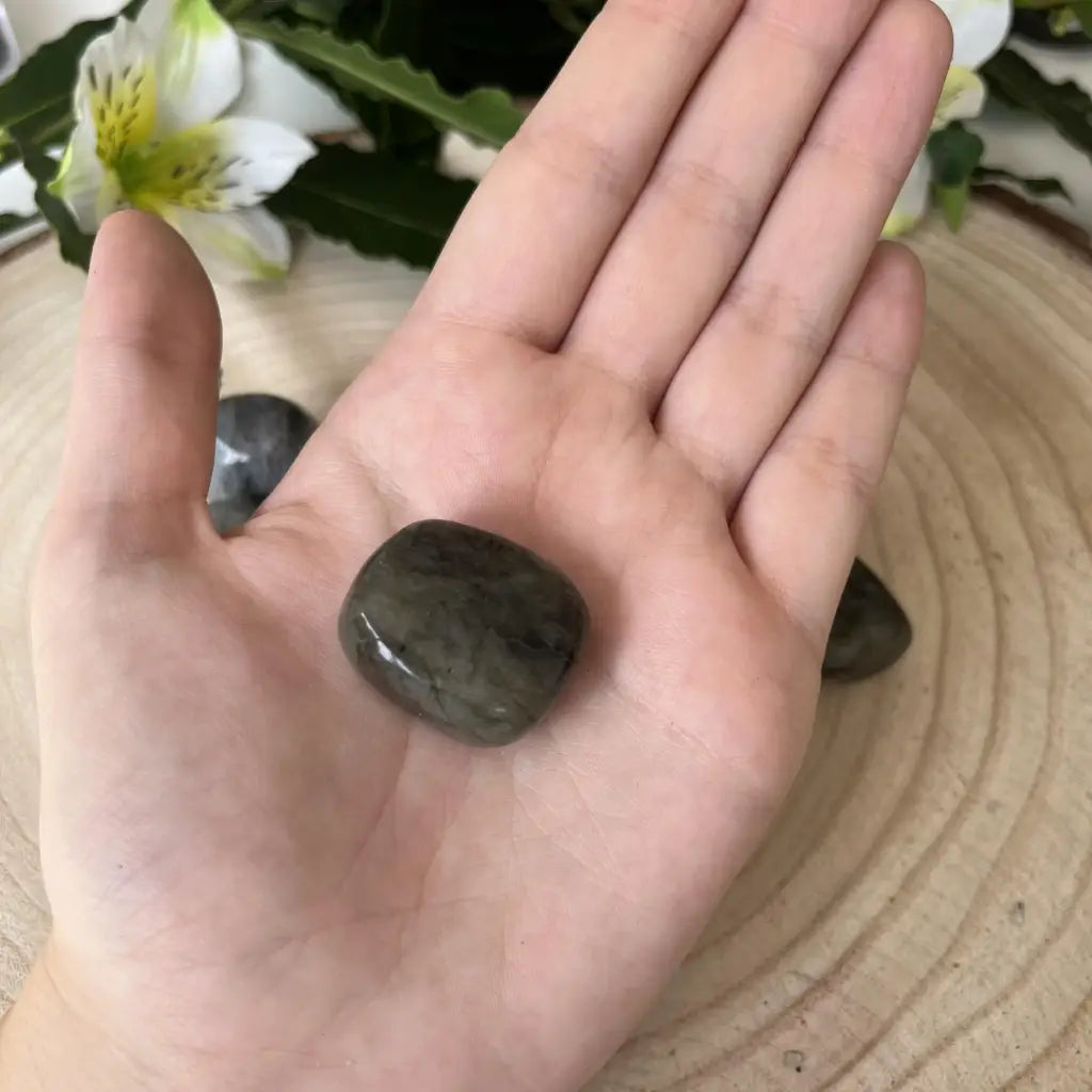 pierre labradorite catégorie AB dans la main