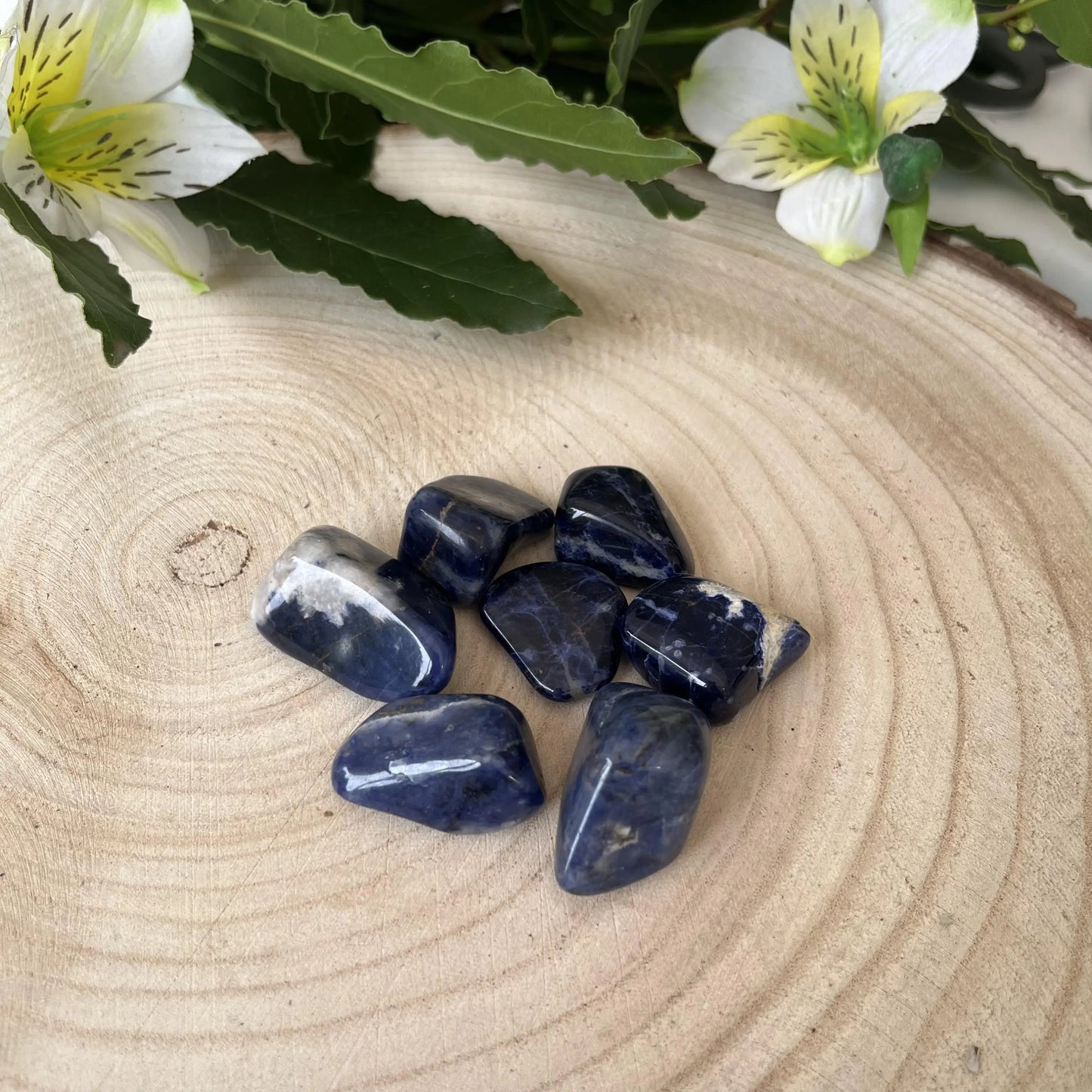 plusieurs pierres sodalite sur un rondin de bois