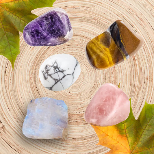 Les 5 pierres incontournables pour débutants disposées sur un fond en bois avec des feuilles d'automne