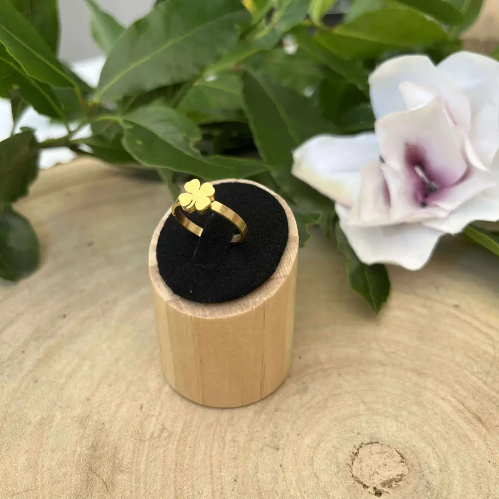 Bague Porte Bonheur Dorée – Ajustable en Acier Inoxydable