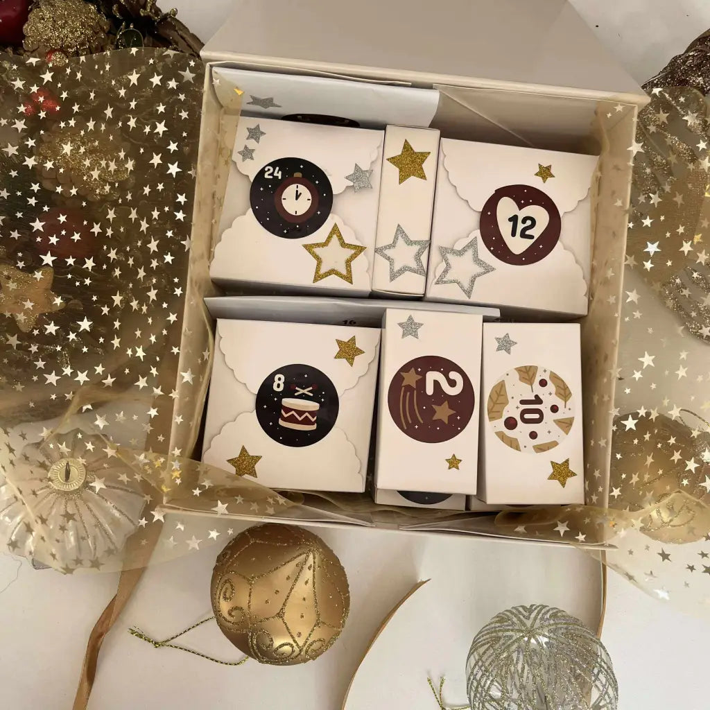 Calendrier de l’Avent 12 Cases Exclusif - Précommande