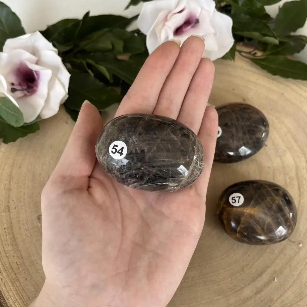 Galet de Pierre de Lune Noire - 54 - Galet pierre naturelle