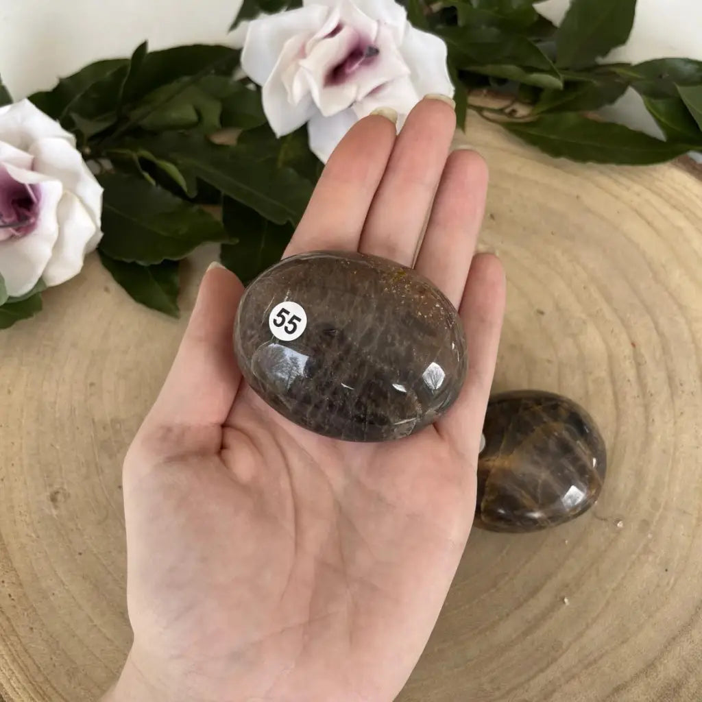 Galet de Pierre de Lune Noire - 55 - Galet pierre naturelle