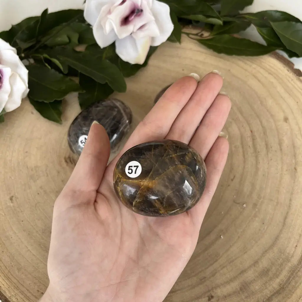 Galet de Pierre de Lune Noire - 57 - Galet pierre naturelle