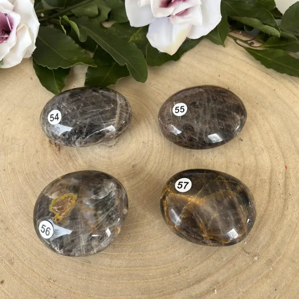 Galet de Pierre de Lune Noire - Galet pierre naturelle