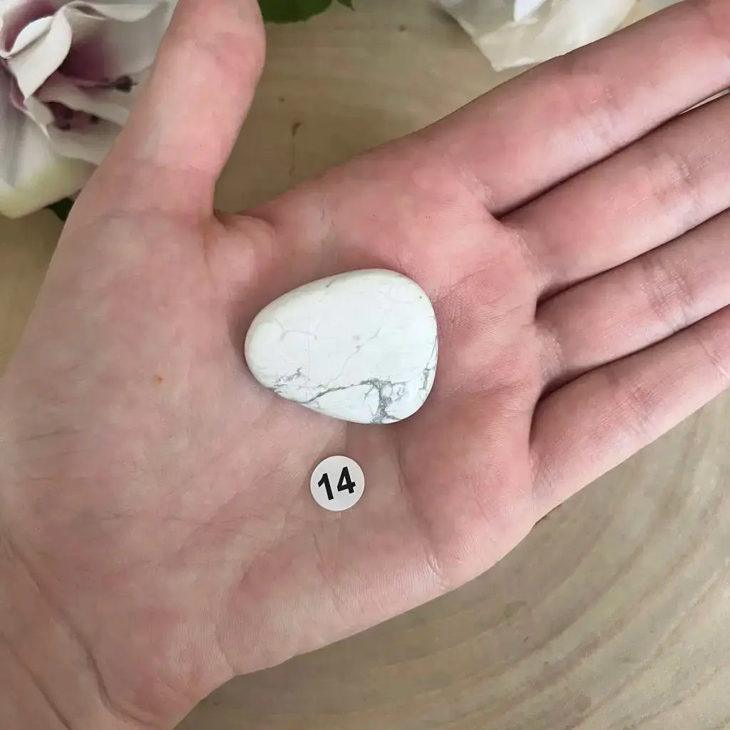 Galet Plat Howlite Blanche dans la paume d une main, pierre naturelle blanche veinée par Aura de Roche