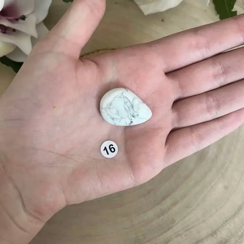 Galet Plat Howlite Blanche posé sur une paume de main montrant taille et texture pierre polie vendue par Aura de Roche