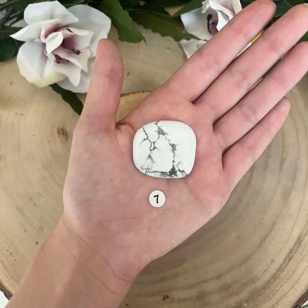 Galet Plat Howlite Blanche posé dans une main sur tranche de bois, veines grises visibles