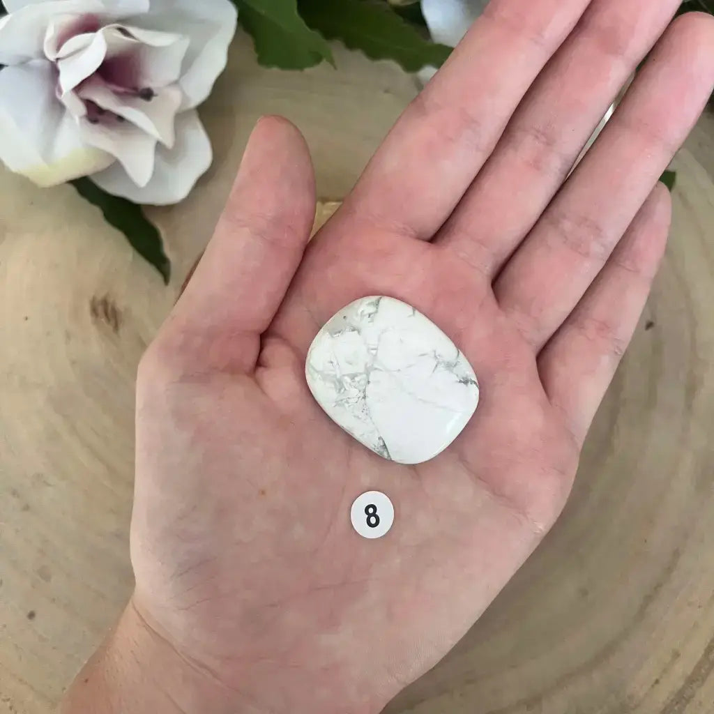 Aura de Roche Galet Plat Howlite Blanche poli en main pour méditation lithothérapie taille numérotée 8