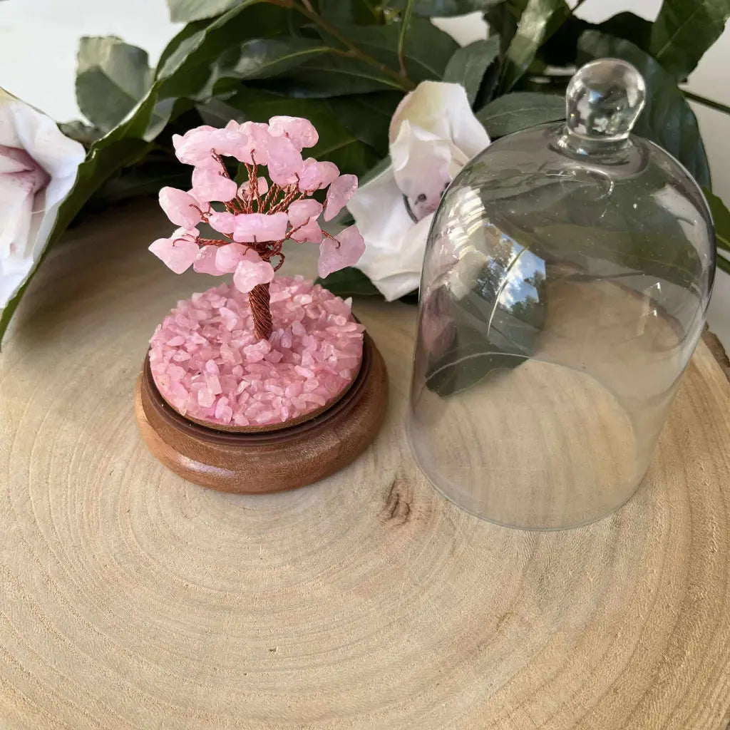 Jardin Dôme en Quartz Rose – Symbole d’Amour et d’Harmonie