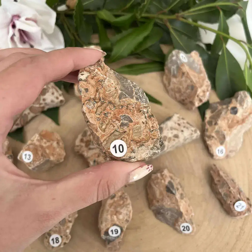 Pierre brute Jaspe Léopard Brut avec des motifs uniques, idéale pour la décoration et les collectionneurs