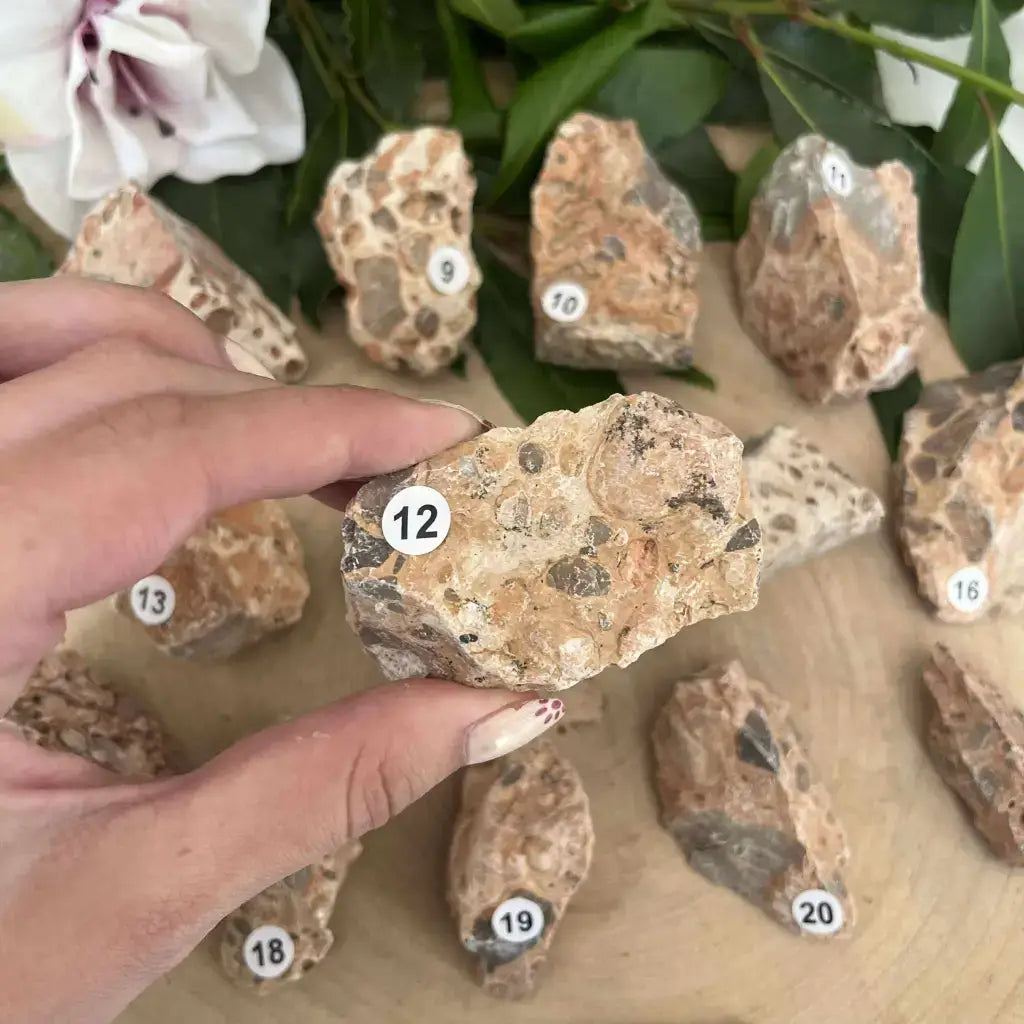 Pierre brute Jaspe Léopard Brut de Aura de Roche, affichant des motifs naturels et des couleurs uniques