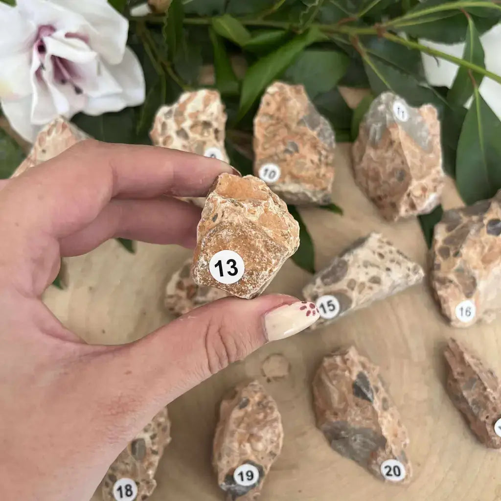 Pierre brute Jaspe Léopard Brut tenue dans une main avec d'autres pierres en arrière-plan