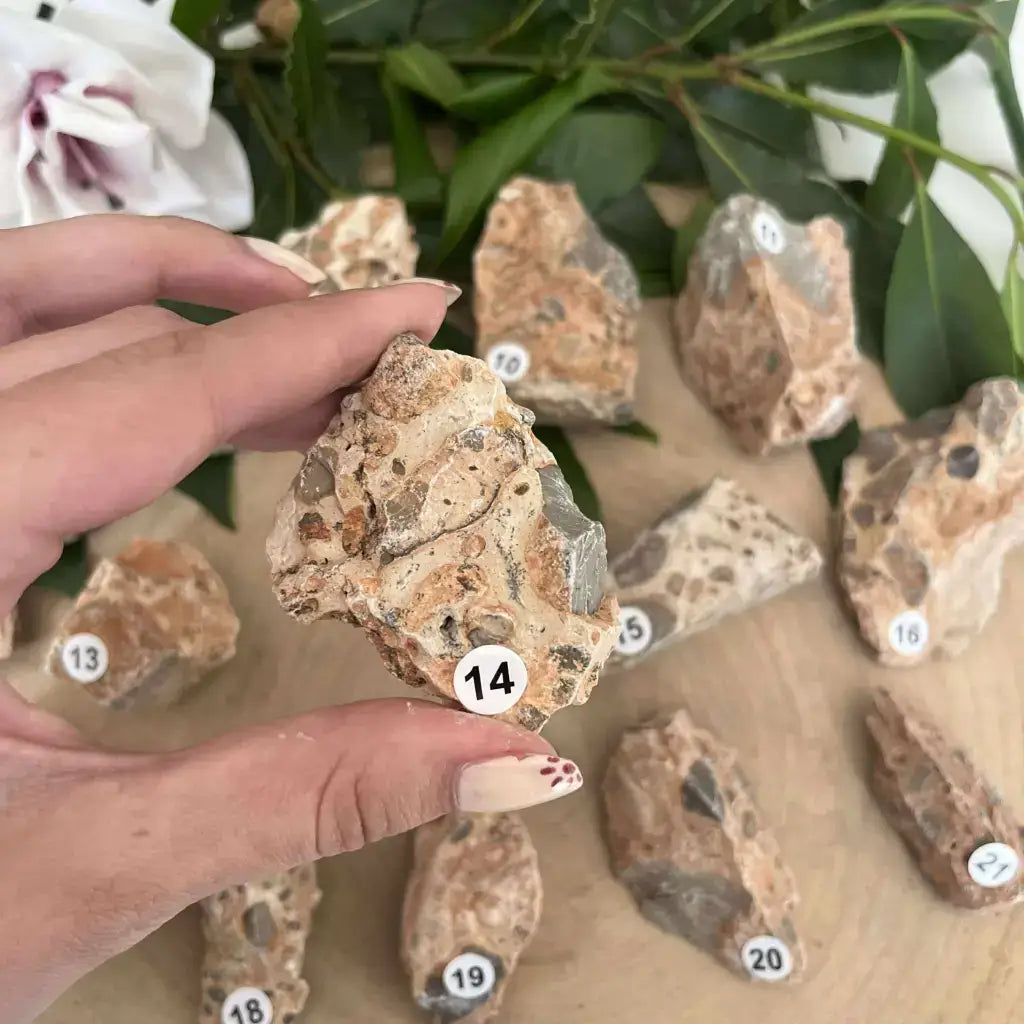 Pierre brute Jaspe Léopard Brut tenue en main avec d'autres pierres sur une table en bois