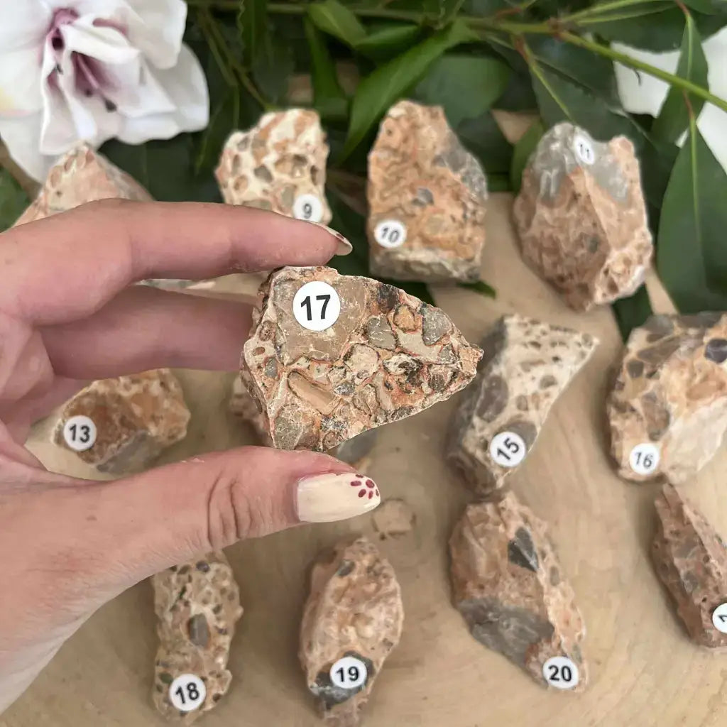 Pierre brute de Jaspe Léopard Brut, idéale pour la décoration ou la méditation, présentée sur un support en bois