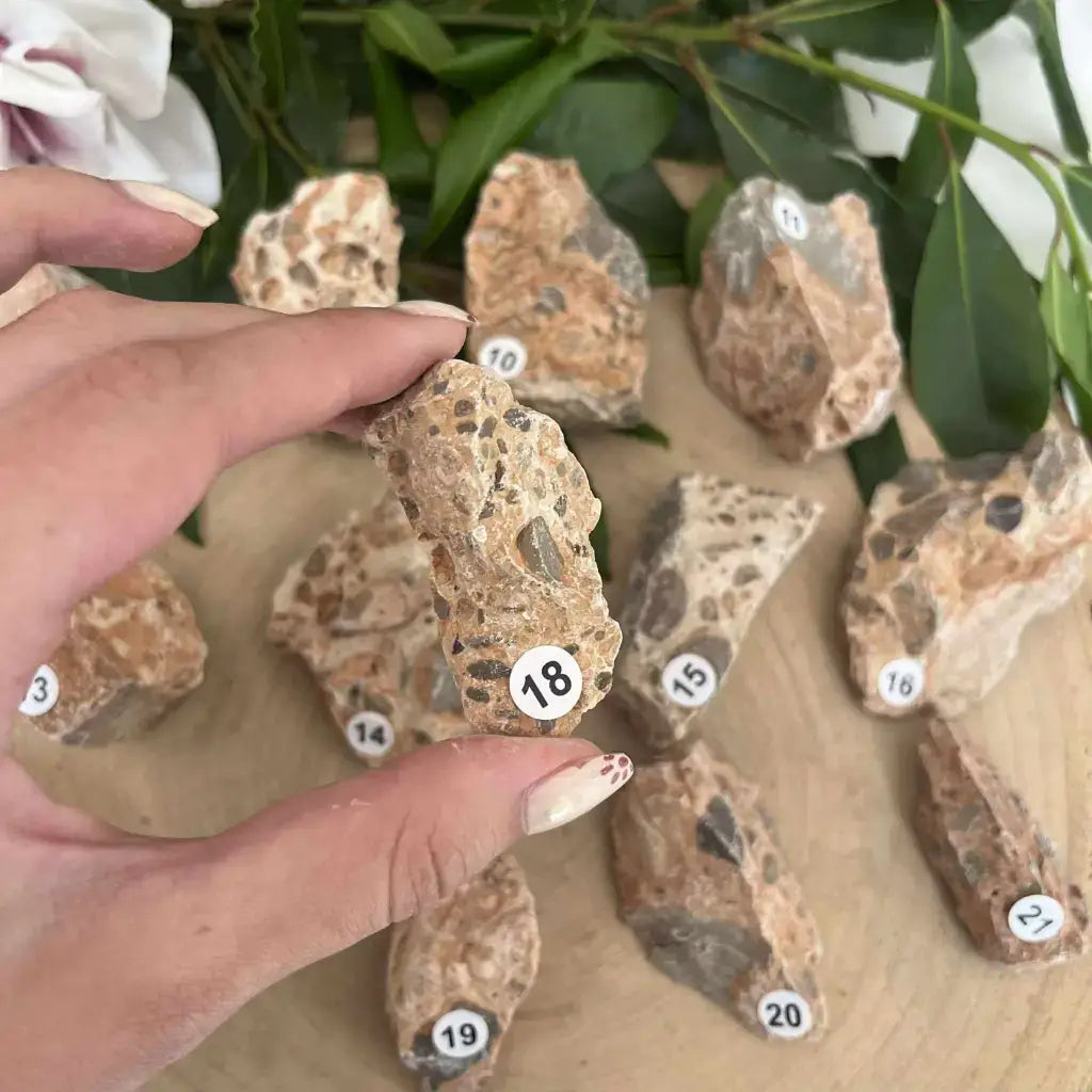 Jaspe Léopard Brut présenté avec d'autres pierres, mettant en valeur sa texture unique et naturelle