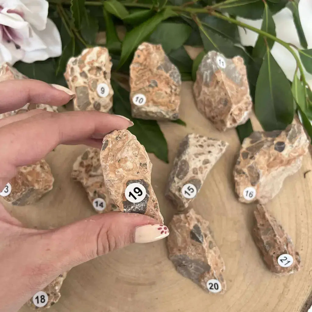 Pierre brute Jaspe Léopard Brut avec échantillons numérotés sur une planche en bois