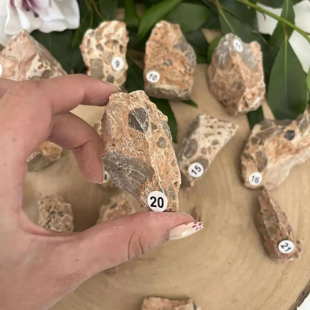 Pierre brute Jaspe Léopard Brut en main parmi d'autres pierres sur un fond en bois naturel