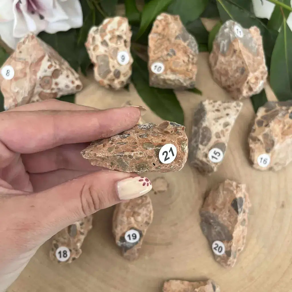 Pierre brute Jaspe Léopard Brut en main parmi d'autres pierres sur une table en bois