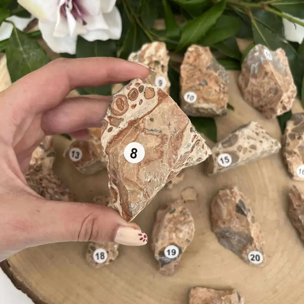 Pierre brute Jaspe Léopard Brut avec motifs naturels en main sur une table en bois