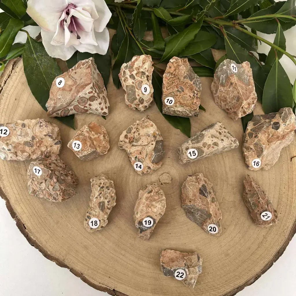 Pierre brute Jaspe Léopard Brut sur un support en bois avec un feuillage décoratif