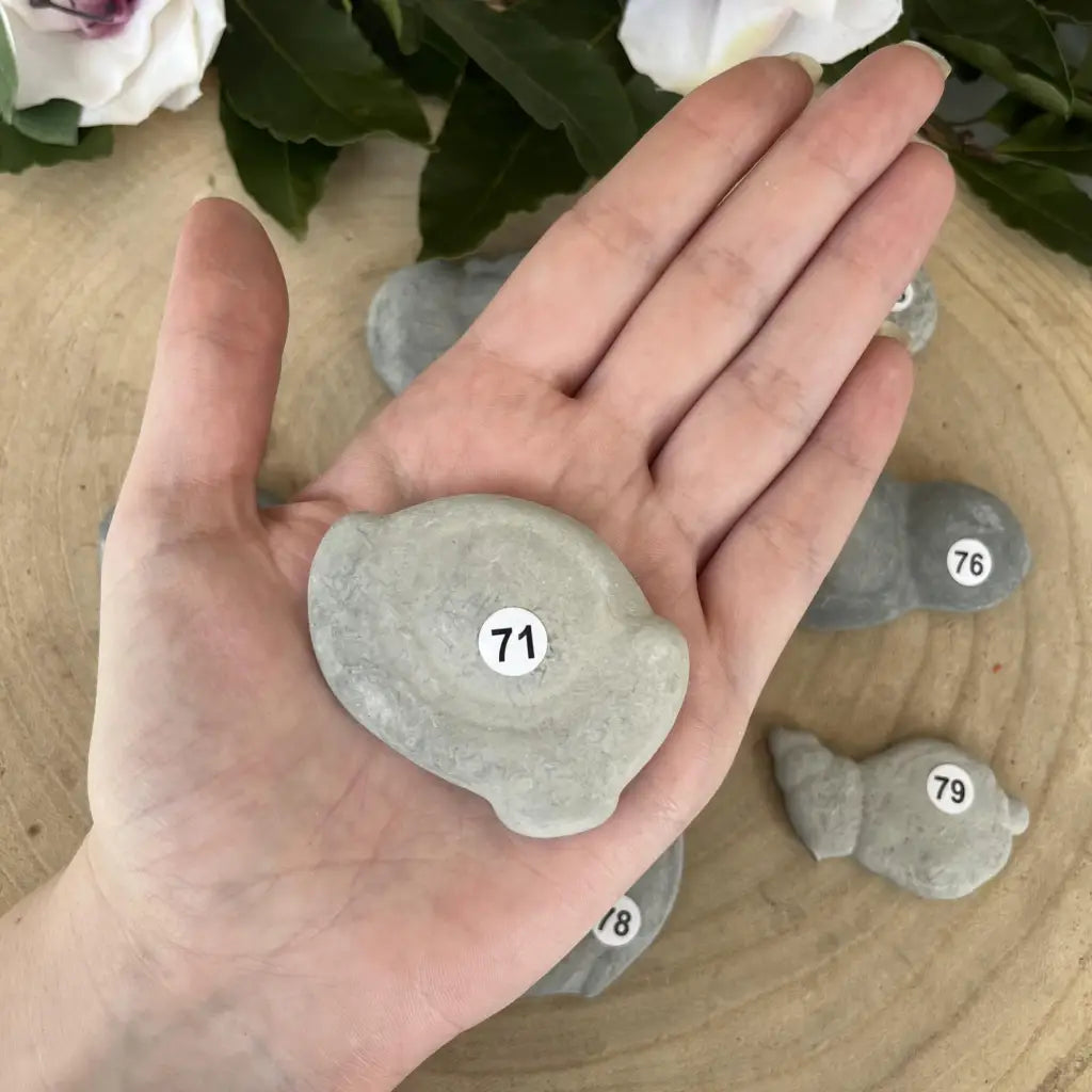 La Pierre des Fées - 71 - pierre de fées