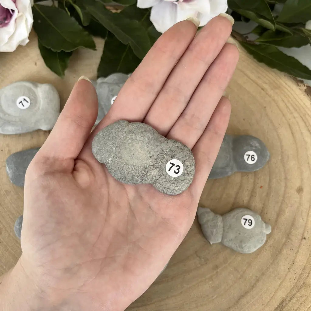 La Pierre des Fées - 73 - pierre de fées