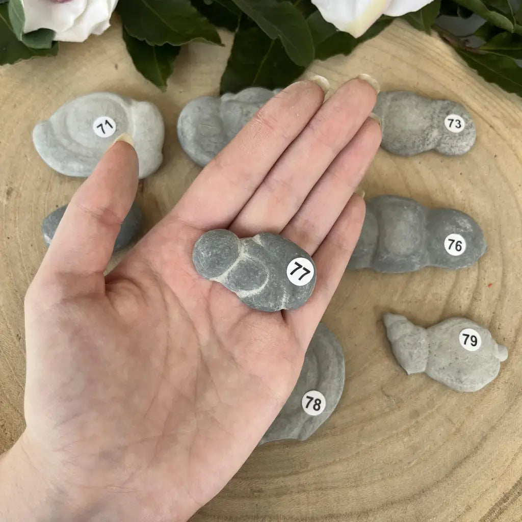 La Pierre des Fées - 77 - pierre de fées