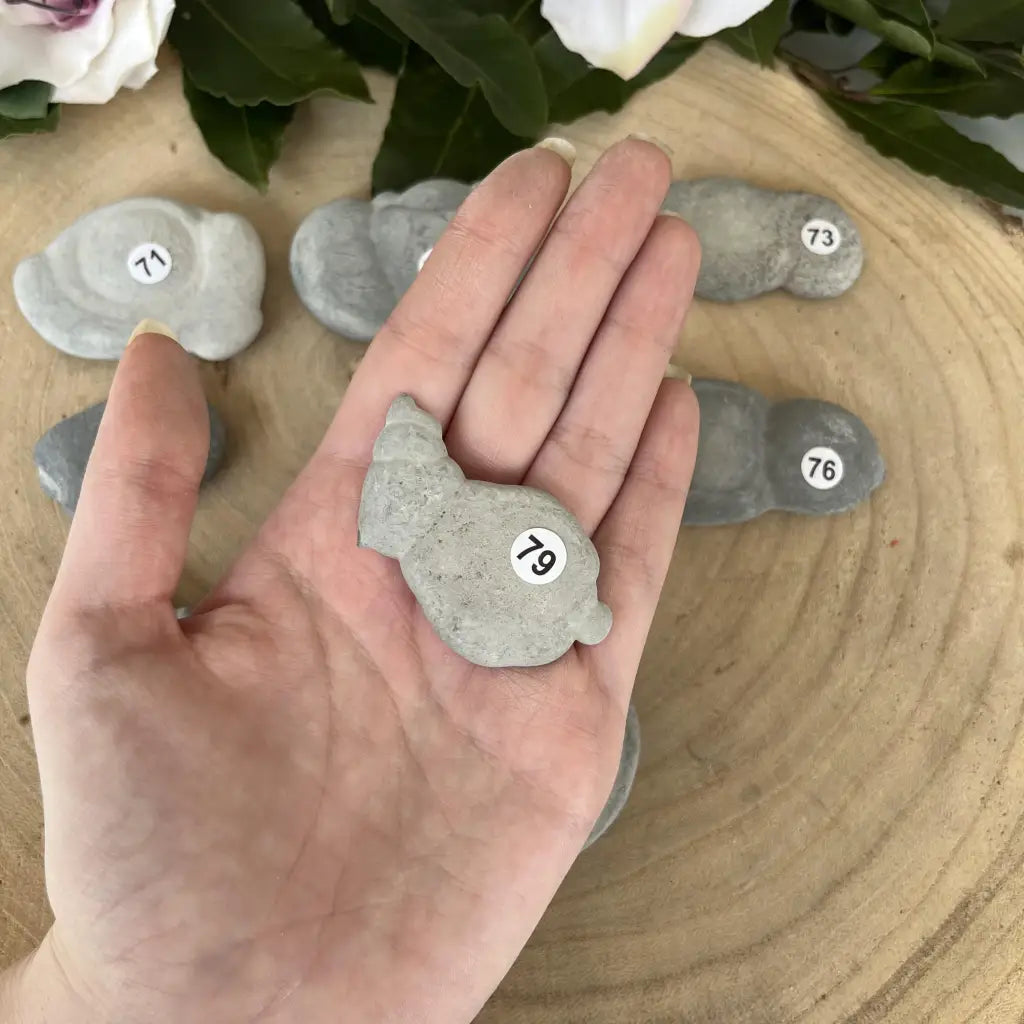 La Pierre des Fées - 79 - pierre de fées