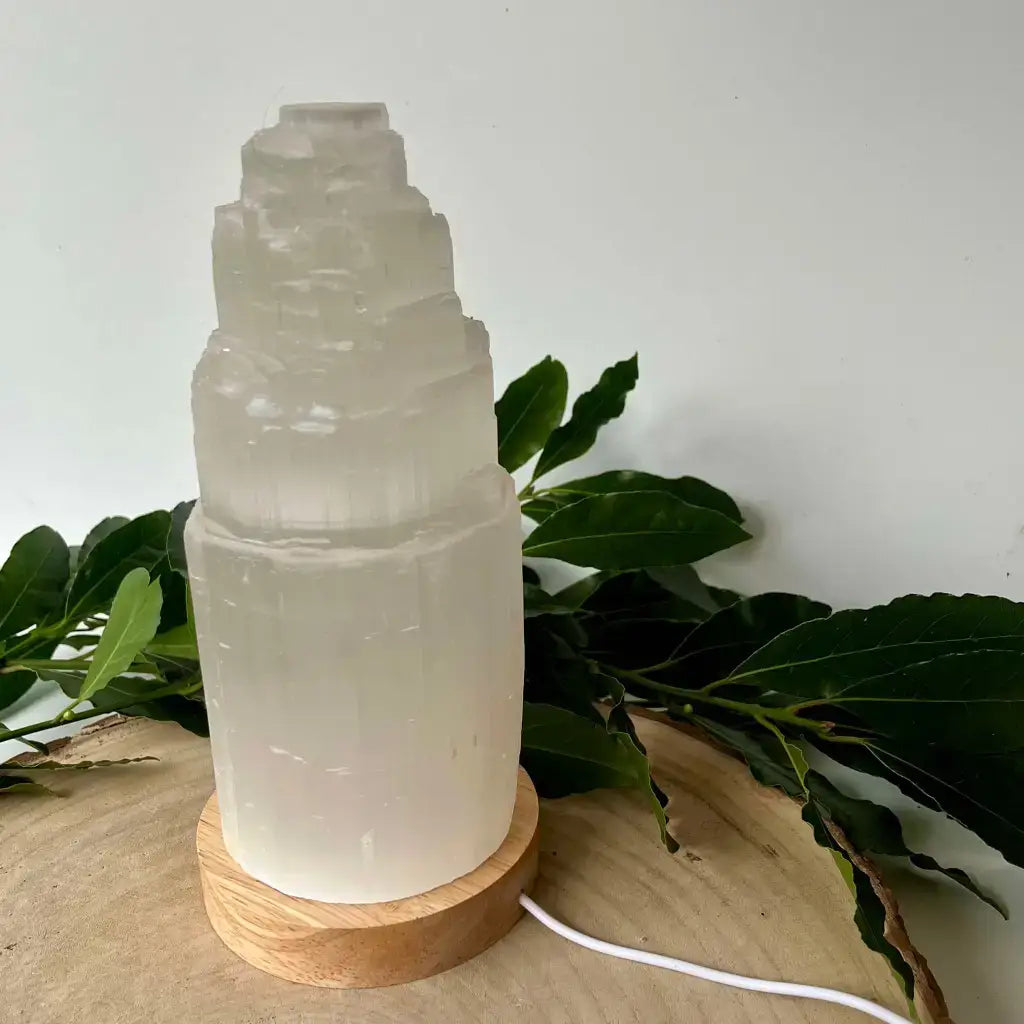 Lampe en Sélénite Naturelle sur base en bois, ajoutant une touche élégante à tout intérieur