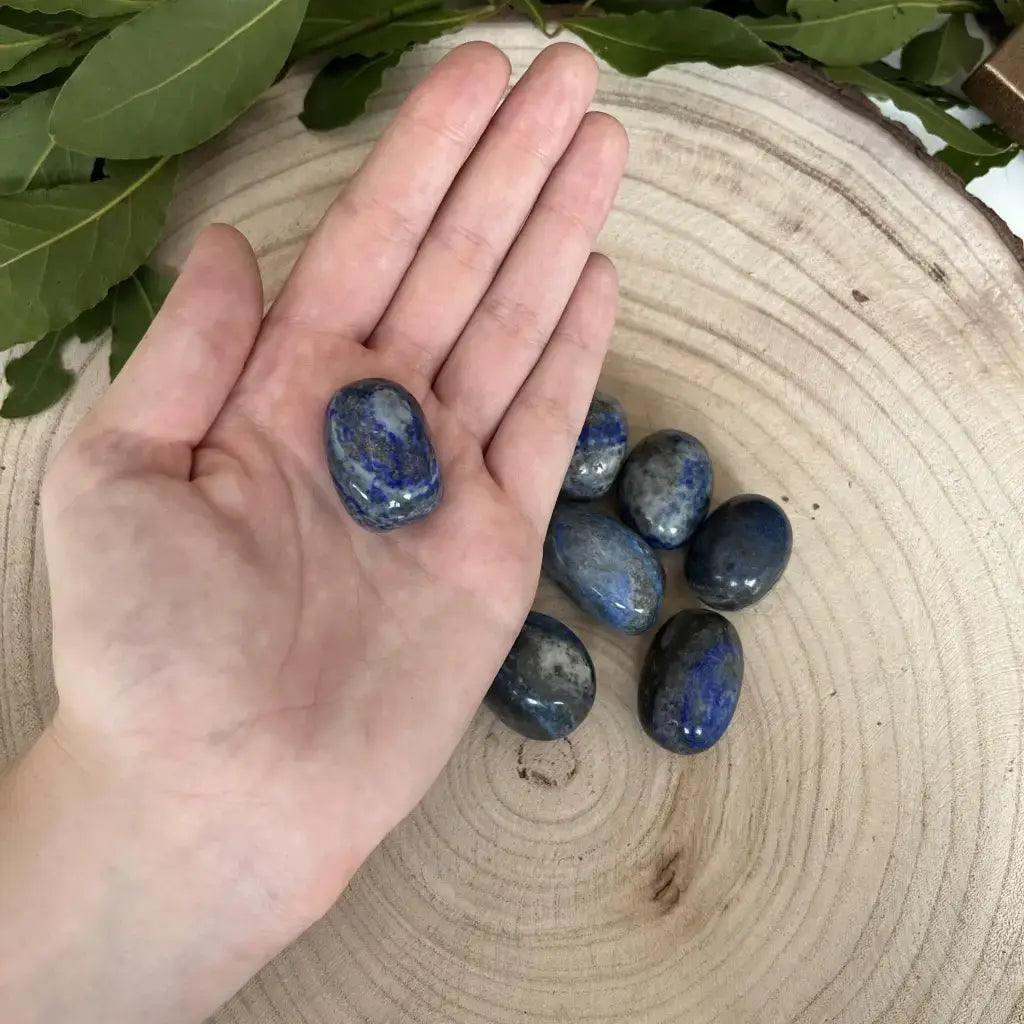 Lapis Lazuli Pierre Roulée dans une main avec plusieurs pierres bleues en arrière-plan