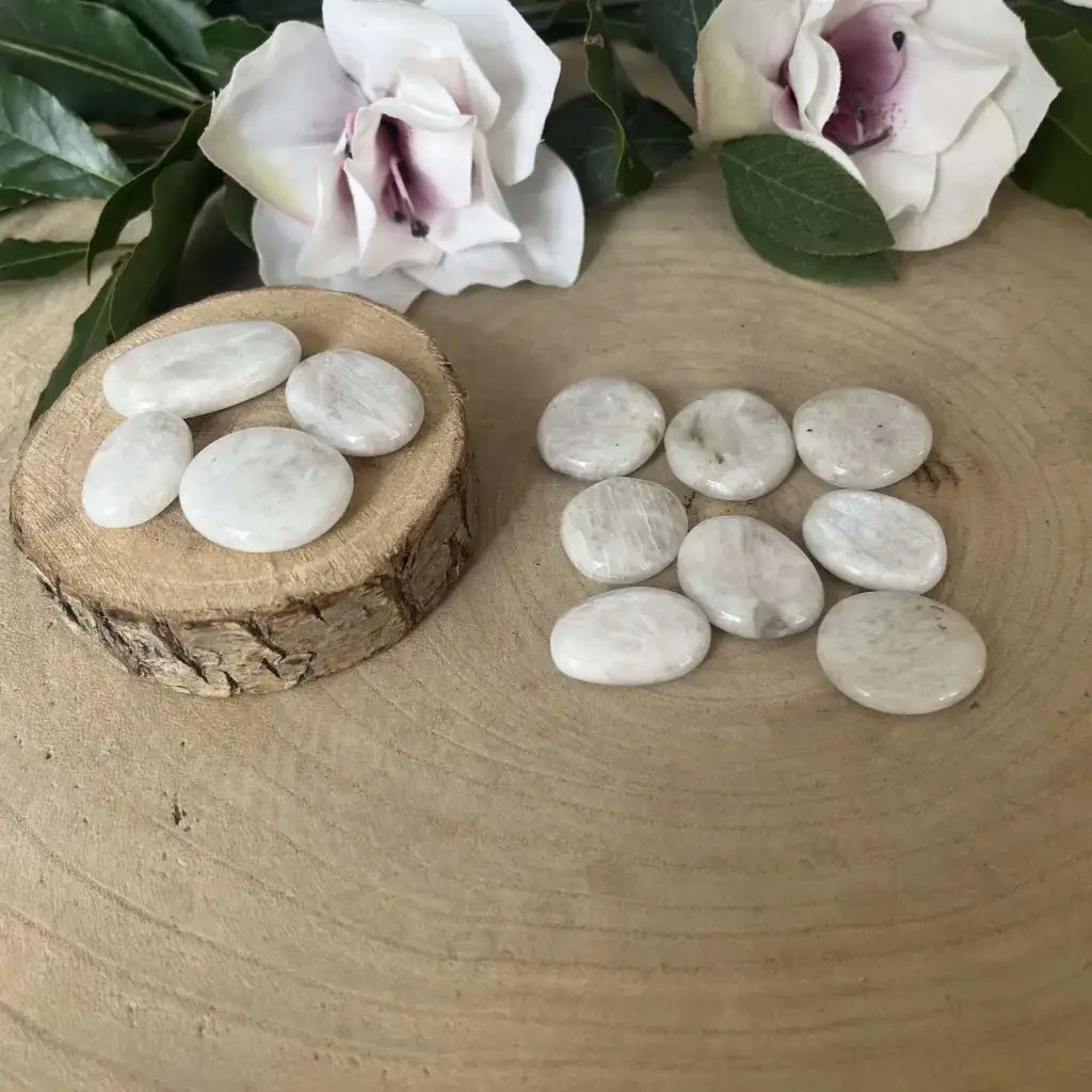 Mini Galet plat Pierre de Lune Bleutée galets plats nacrés blanc bleuté posés sur rondin de bois avec fleurs décoratives