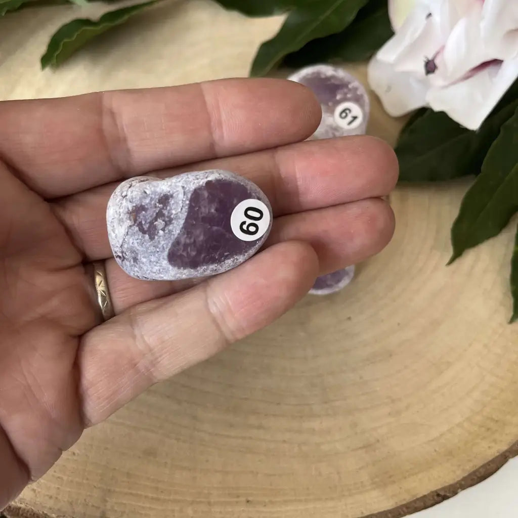 Œuf Ema Améthyste - 60 - pierre naturelle