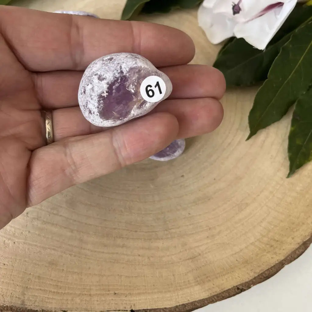 Œuf Ema Améthyste - 61 - pierre naturelle