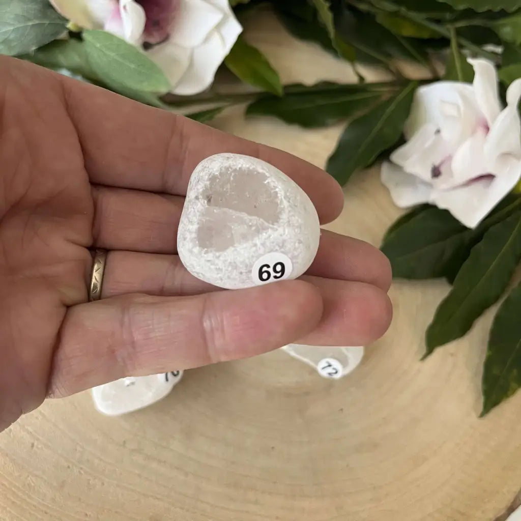 Œuf Ema Cristal de Roche - 69 - pierre naturelle