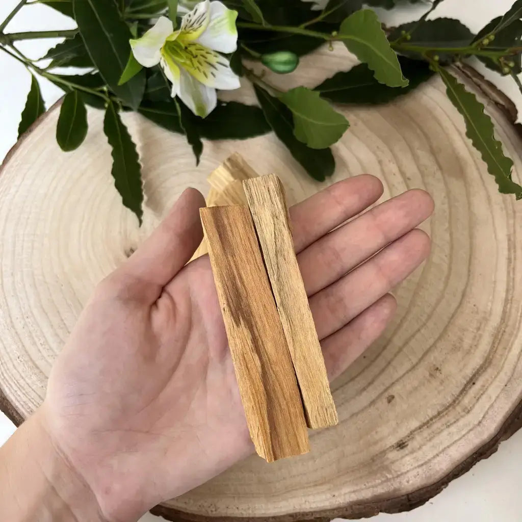 Palo Santo Bois Sacrée présenté en morceaux sur une main, avec un fond en rond de bois