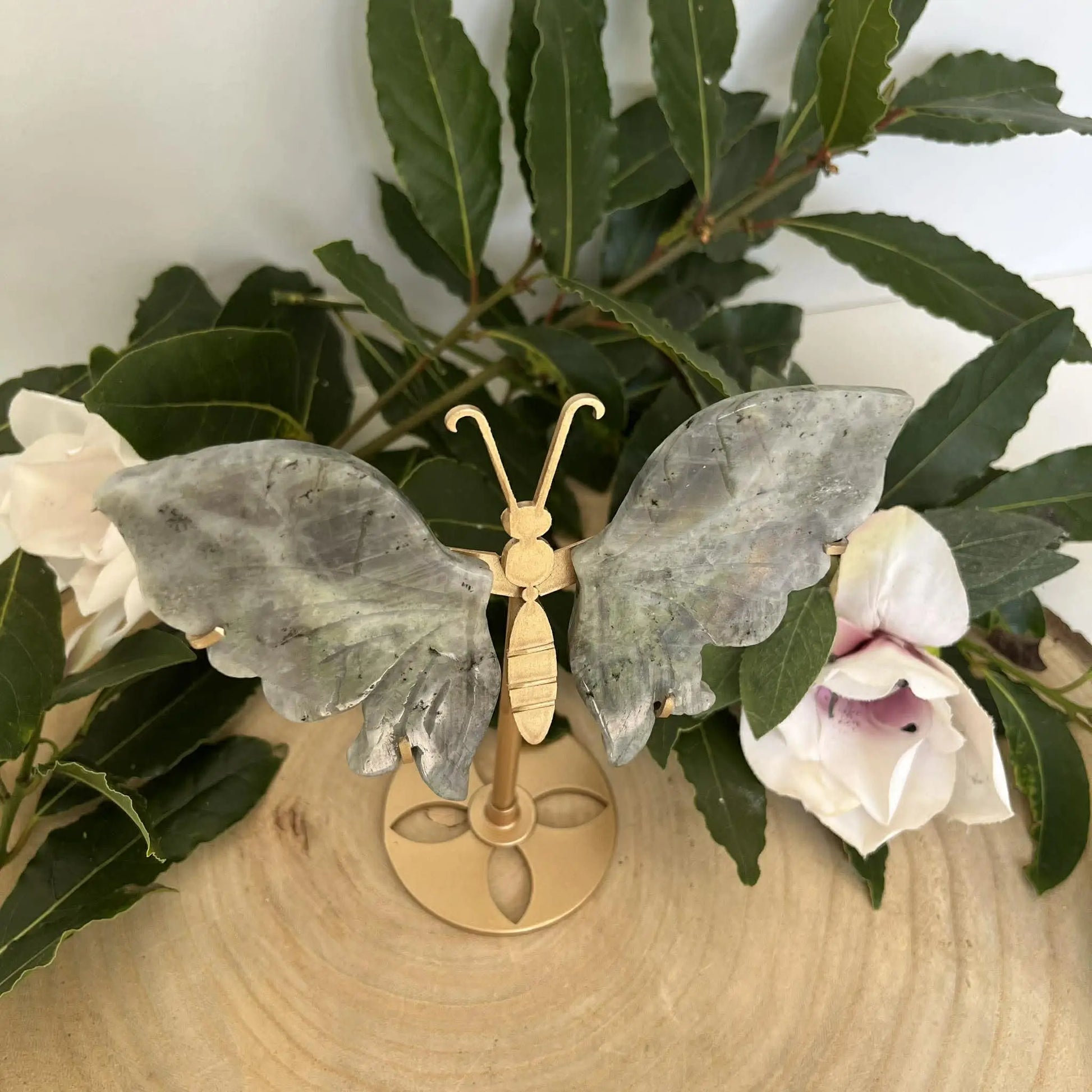 Papillon en labradorite naturelle avec ailes grises translucides et corps métallique doré sur socle orné