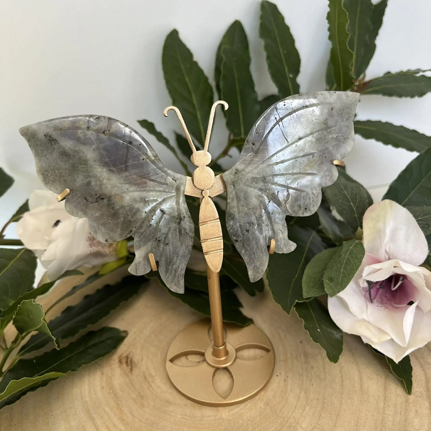 Papillon en labradorite naturelle gris translucide avec veines délicates sur socle doré minérale élégante magnifiques reflets
