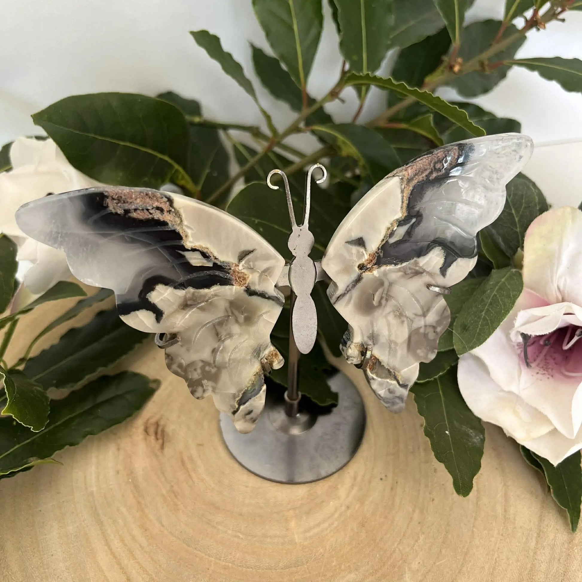 Papillon en pierre naturelle en quartz ferrugineux avec veines noires blanches et dorées sur socle en crazy lace