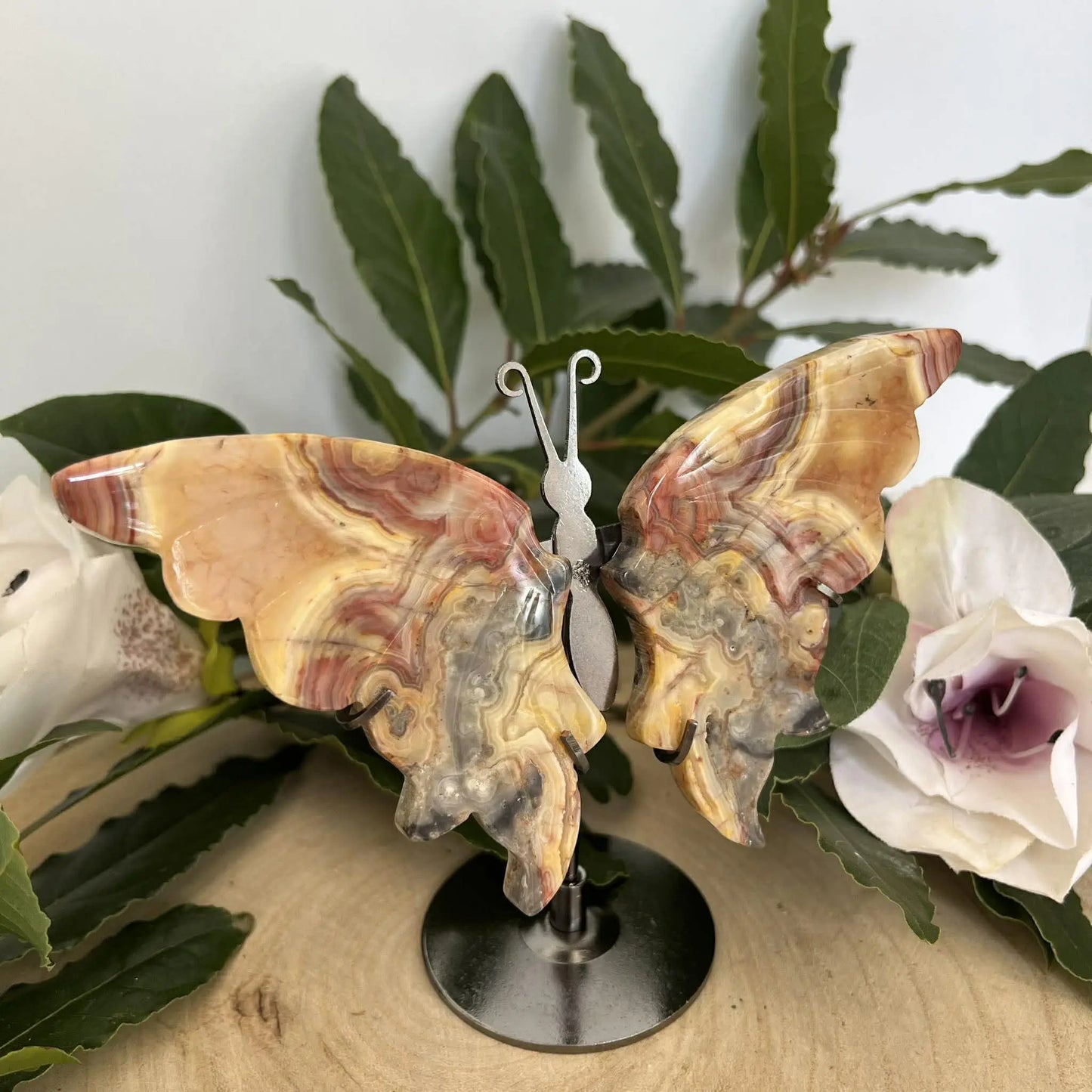 Papillon en pierre naturelle en quartz ferrugineux orange et marron avec corps argenté sur socle en métal