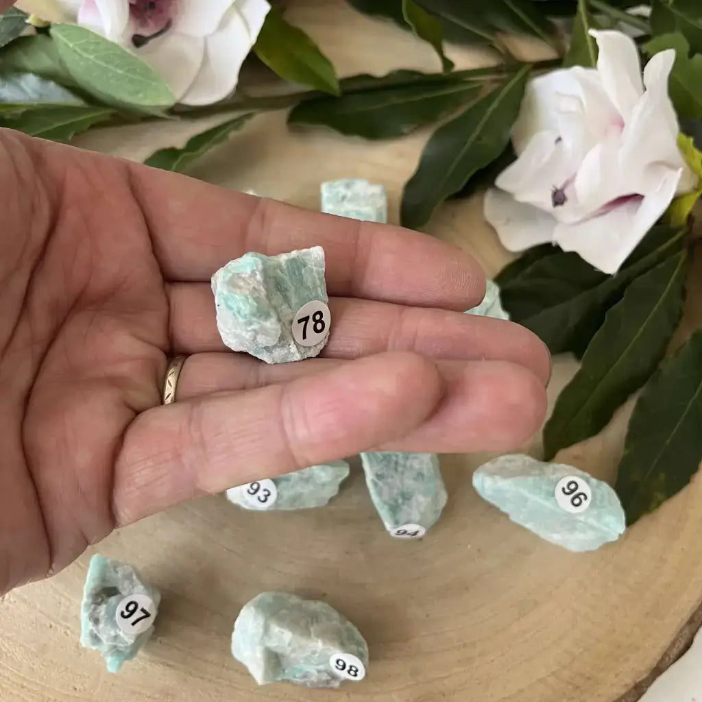 Pierre Brute Amazonite Brésil dans une main, pierre naturelle aux nuances vertes, mise en valeur parmi d'autres pierres