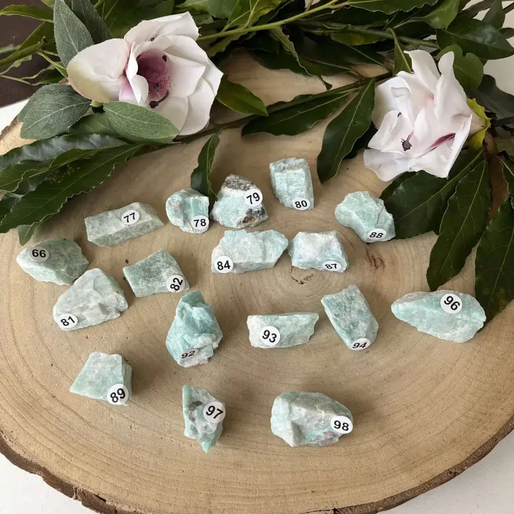 Pierre brute Amazonite Brésil en plusieurs morceaux sur une planche en bois, entourée de feuillage.